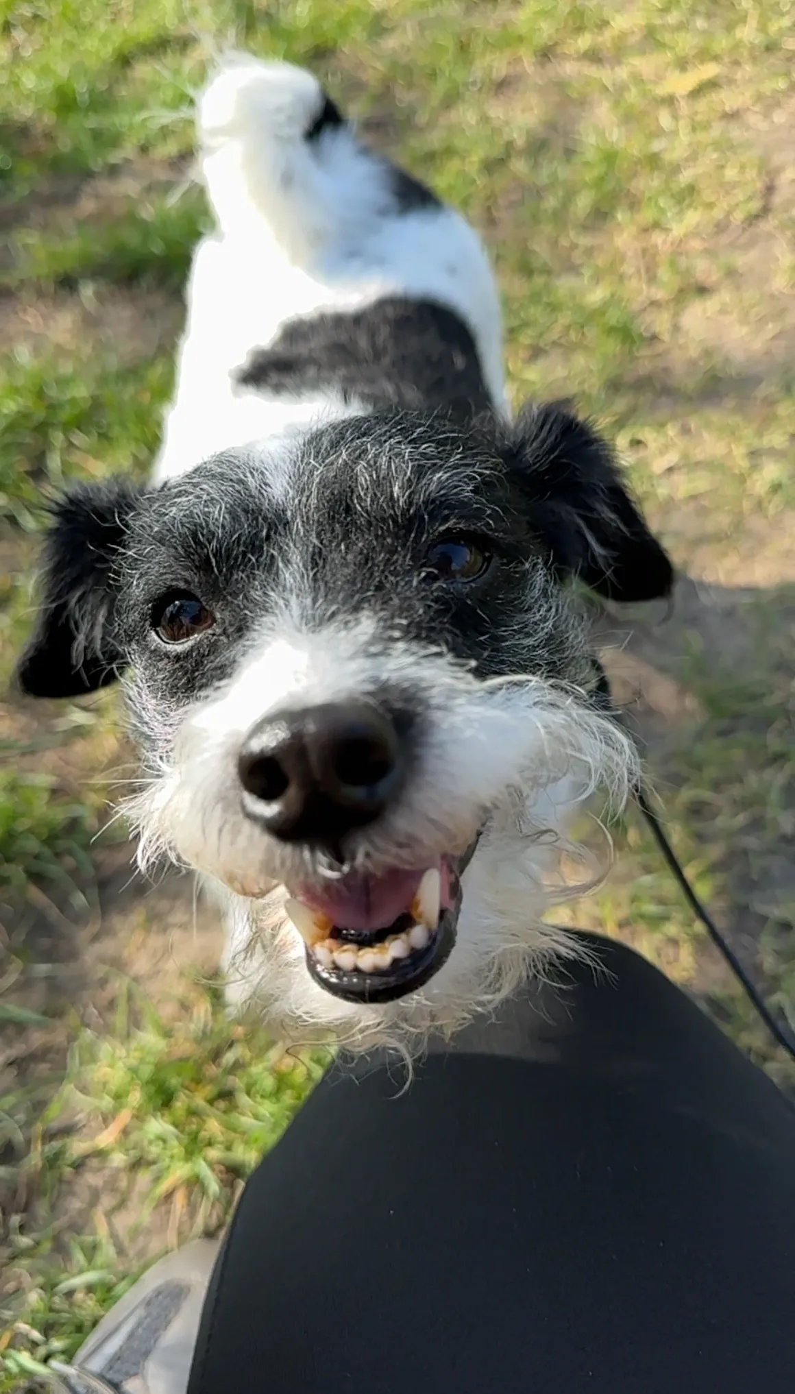 Rs%3Dw 1160%2Ch 2034