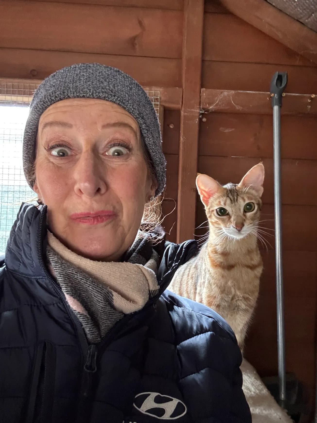 Rs%3Dw 2320%2Ch 1740